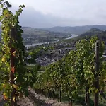 Weingut Schumann Lieser