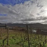 Apartment Weingut Schumann *