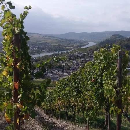 Weingut Schumann Lieser