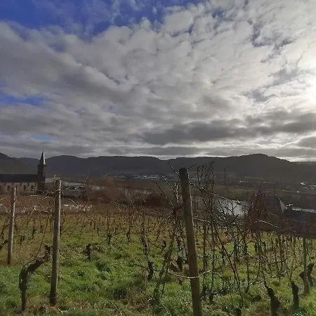 Апартаменты Weingut Schumann *