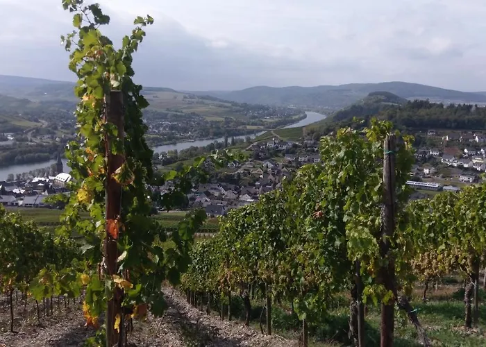 Weingut Schumann Lieser