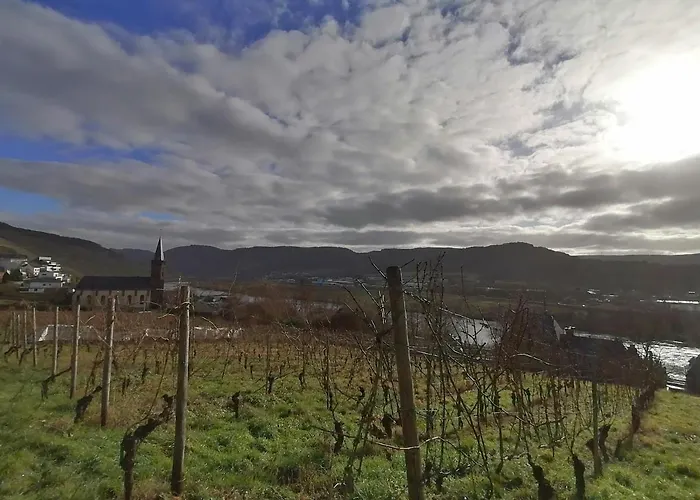 아파트 Weingut Schumann *